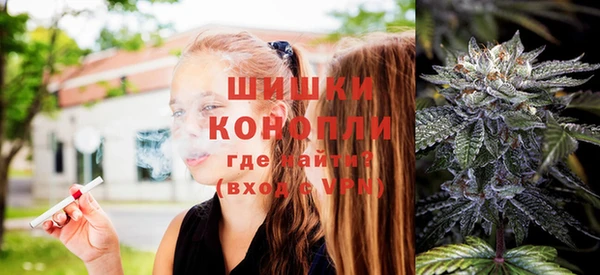 МДПВ Няндома